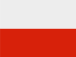 Flag icon